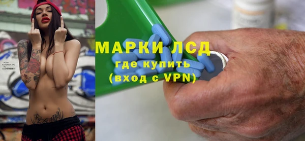 прущие грибы Абаза