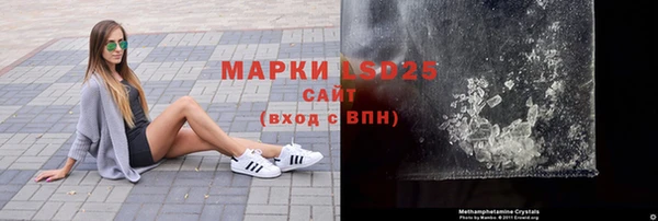 прущие грибы Абаза