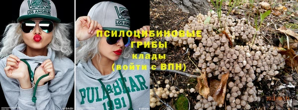 бошки Абинск