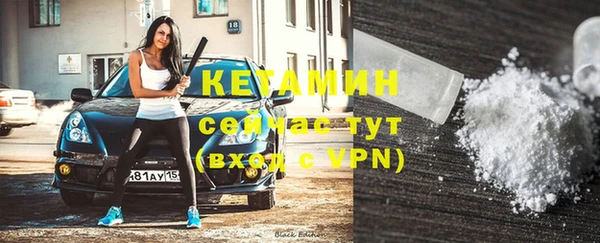 прущие грибы Абаза
