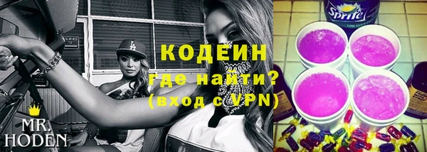 прущие грибы Абаза