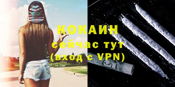 прущие грибы Абаза