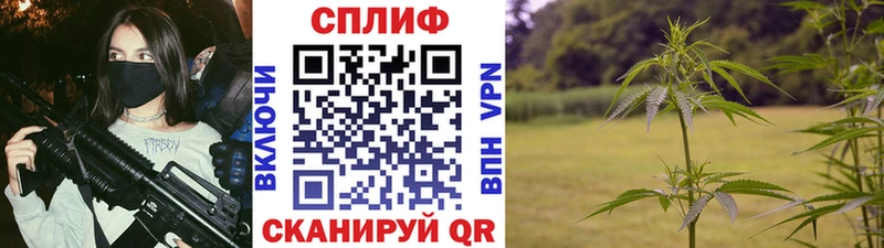 Бошки марихуана Ganja  omg ТОР  Алагир 